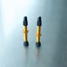 FORMOSA アルミ製チューブレスバルブ44mm2本セット